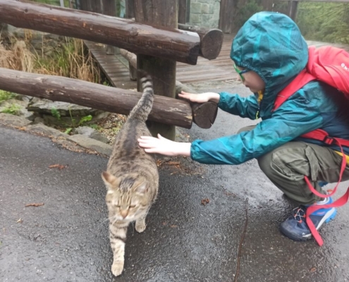 návštěva ZOO