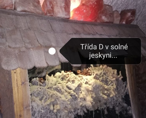 opět v solné jeskyni