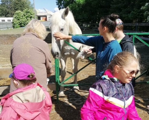 na farmě Duběnka