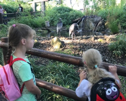 příměstský tábor - ZOO