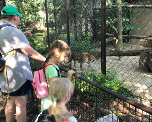 příměstský tábor - ZOO