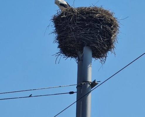 příměstský tábor - výlet do Jistebníku