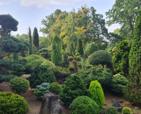 příměstský tábor - miniarboretum