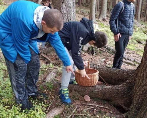 škola v přírodě 2022 středa