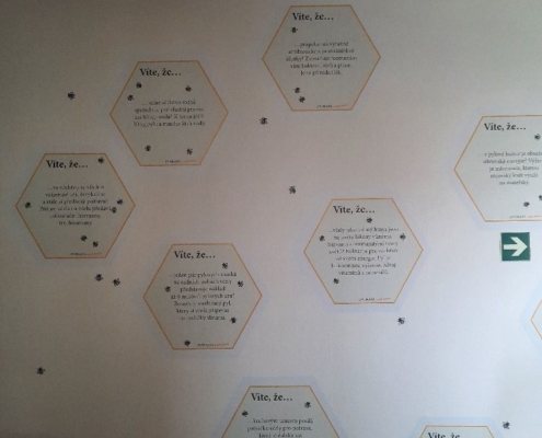 interaktivní výstava Cesta do včelího města