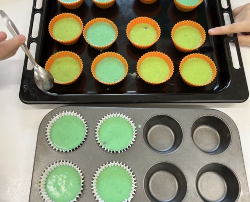 muffiny v barvách modré a zelené