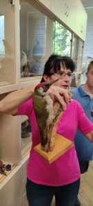 středisko volného času Korunka