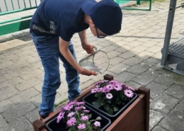 Čtení, psaní, počítání,