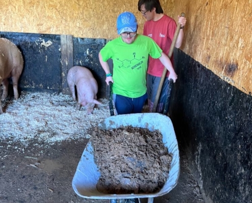 pracovně na farmě