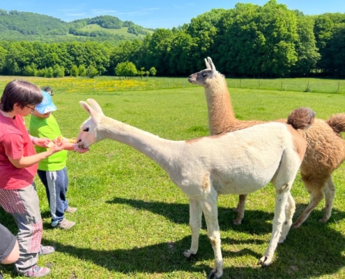 pracovně na farmě