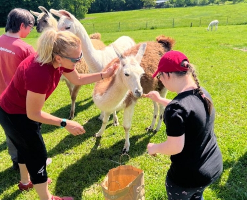 pracovně na farmě