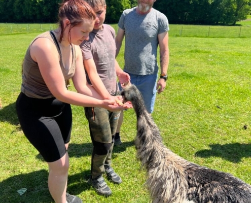 pracovně na farmě