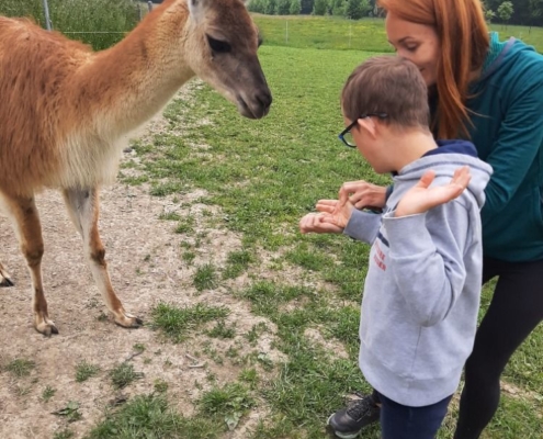 báječný výlet na statek