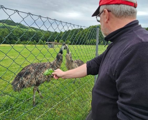 Příměstský tábor - čtvrtek