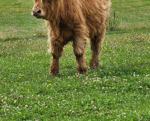 Příměstský tábor - čtvrtek