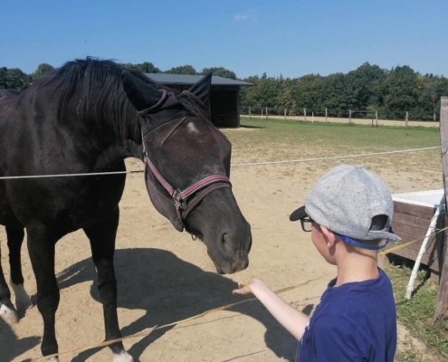 třída A na farmě