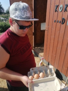 třída A na farmě