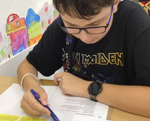 učivo v českém jazyce a matematice