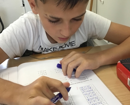 učivo v českém jazyce a matematice