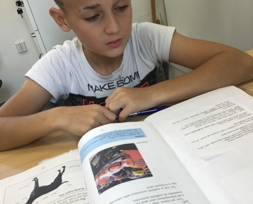 učivo v českém jazyce a matematice