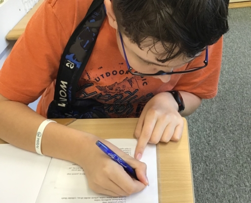 učivo v českém jazyce a matematice