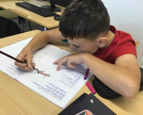 učivo v českém jazyce a matematice