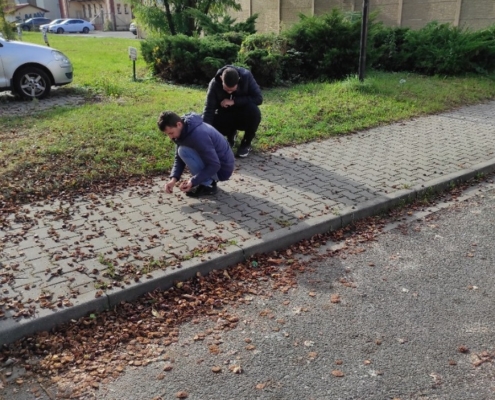 Mix fotografií z pracovního týdne ve třídě C