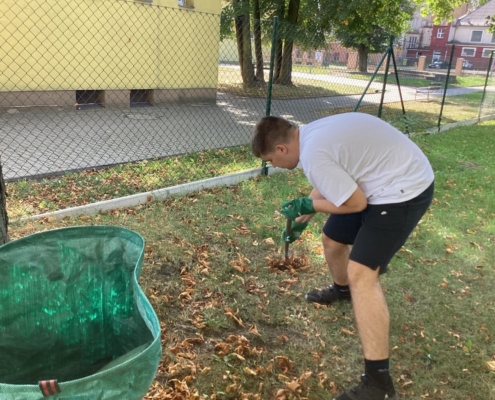 Pracovní činnosti - skupina Ivany