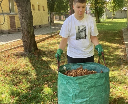 Pracovní činnosti - skupina Ivany