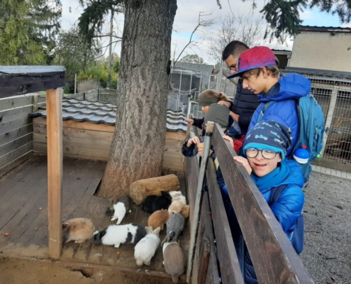 Vendryňská Mini Zoo