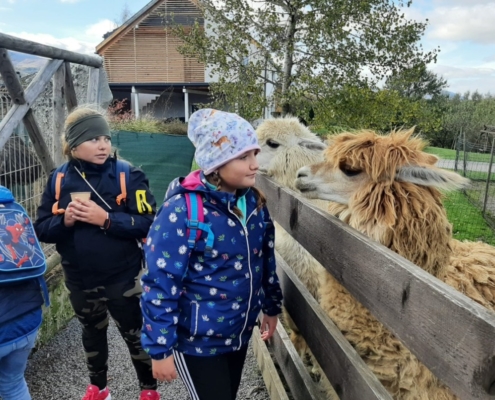 Vendryňská Mini Zoo