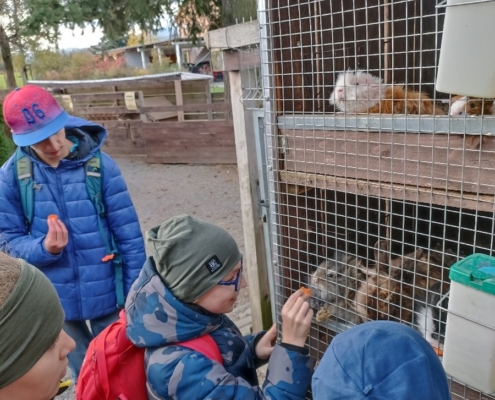 Vendryňská Mini Zoo