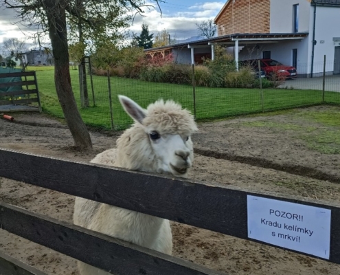 Vendryňská Mini Zoo