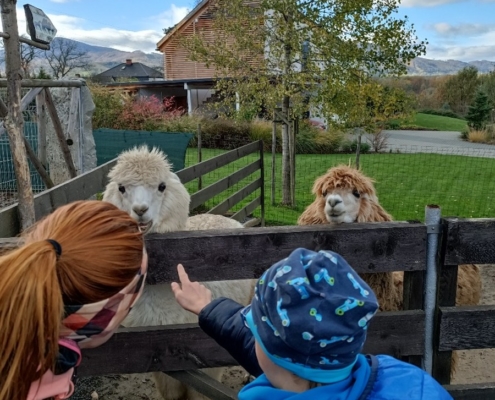 Vendryňská Mini Zoo