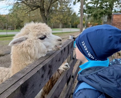 Vendryňská Mini Zoo