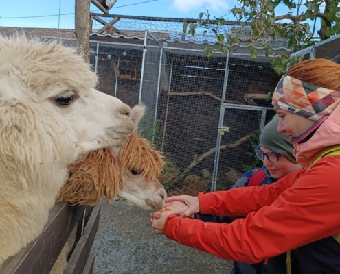 Vendryňská Mini Zoo