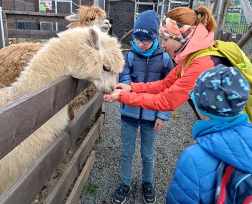 Vendryňská Mini Zoo