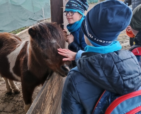 Vendryňská Mini Zoo