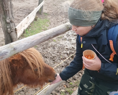 Vendryňská Mini Zoo