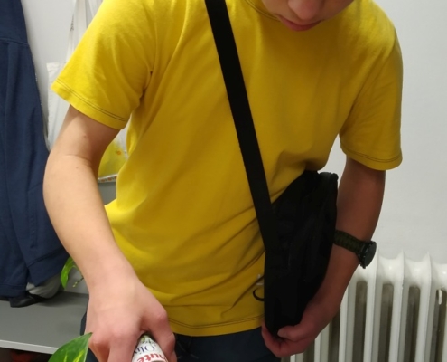množení pokojových rostlin