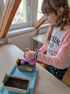 děvčata vyráběla sovičky z papíru a také jsme společně zasadily pažitku a bazalku