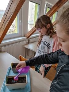 děvčata vyráběla sovičky z papíru a také jsme společně zasadily pažitku a bazalku