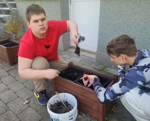 Úklid listí, vyrytí zbytku starých rostlin, příprava hlíny na sázení