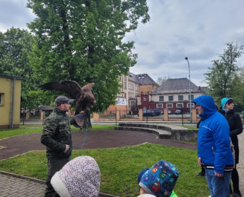 Žáci ze tříd B,C,D dnes viděli ukázku dravých ptáků