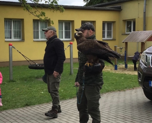 Žáci ze tříd B,C,D dnes viděli ukázku dravých ptáků