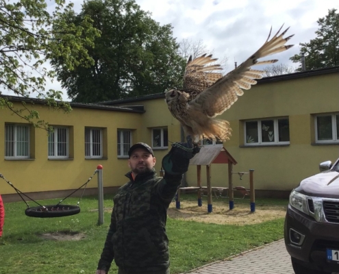 Žáci ze tříd B,C,D dnes viděli ukázku dravých ptáků