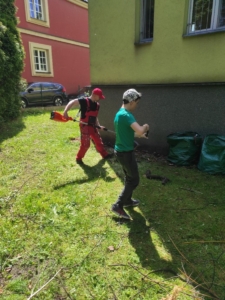 úklid a řezání dřeva a návštěva knihovny, téma Jak se chovat v dopravě