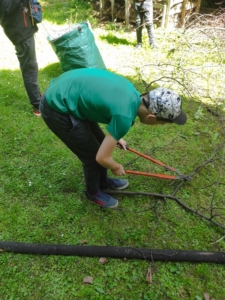 úklid a řezání dřeva a návštěva knihovny, téma Jak se chovat v dopravě