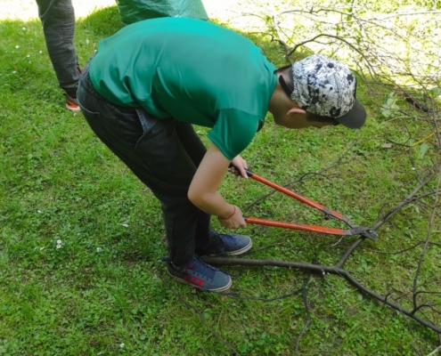 úklid a řezání dřeva a návštěva knihovny, téma Jak se chovat v dopravě