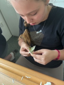 Výroba městečka z papíru